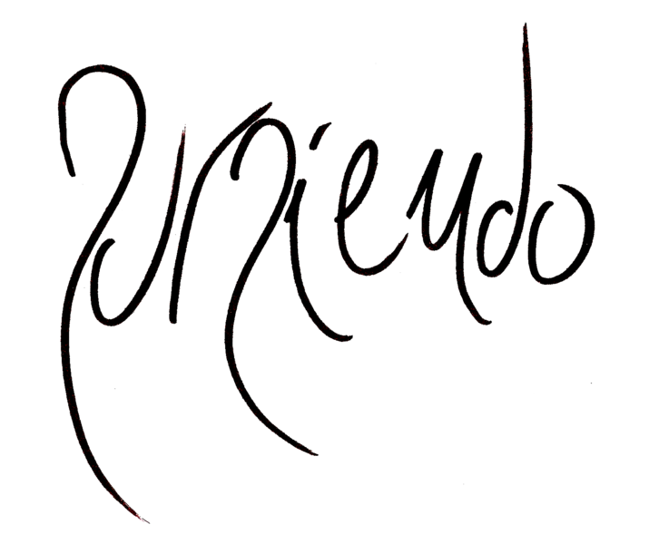 File:Logosursiendo.png