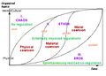 Thumbnail for version as of 15:28, 27 August 2007