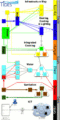 Thumbnail for version as of 05:48, 16 October 2009